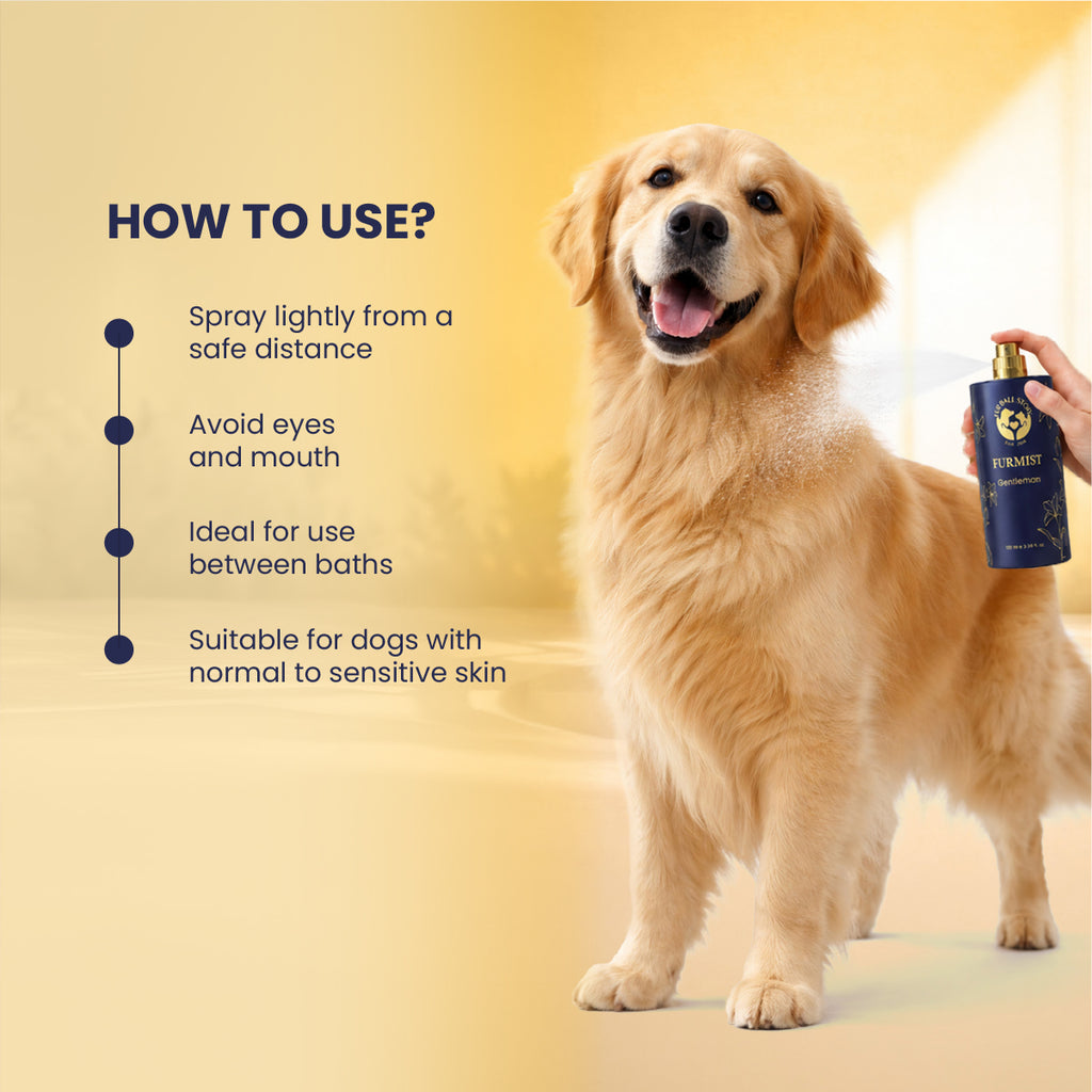 Furmist Combo - Coat Mists for Dogs