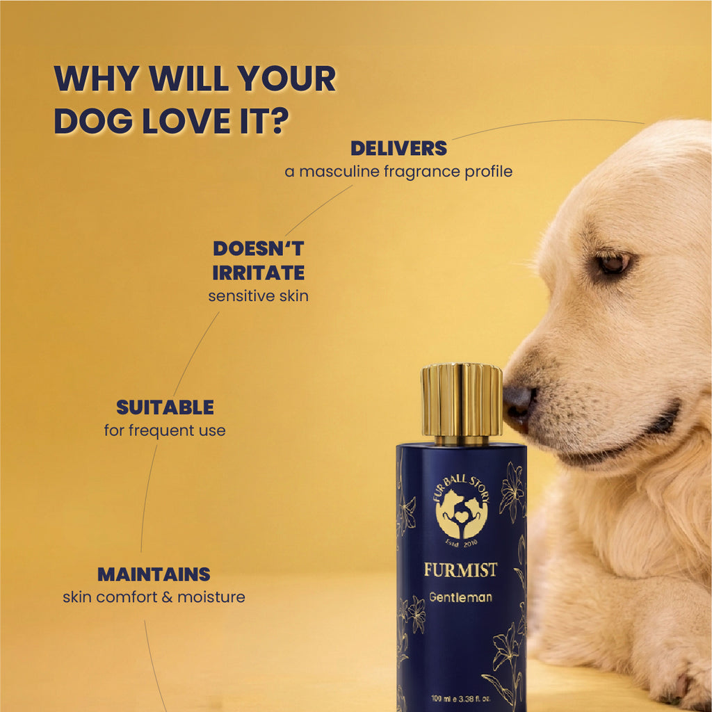 Furmist Combo - Coat Mists for Dogs