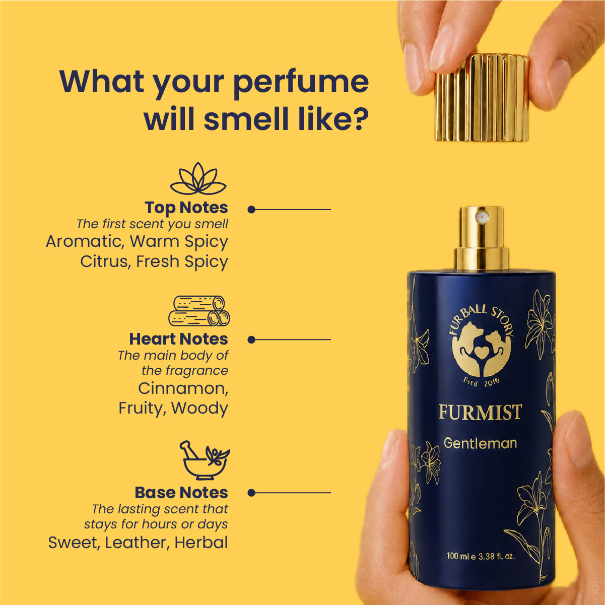 Furmist Combo - Coat Mists for Dogs