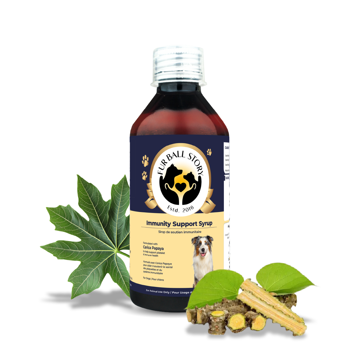 Immunity Support Syrup