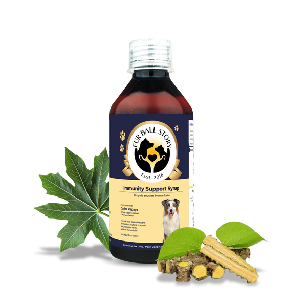 Immunity Support Syrup